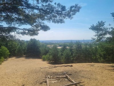 Möblierte 3-Raum-Wohnung Dresden Neustadt/Heide (Wald)