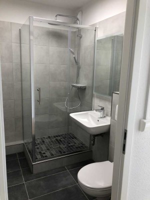 Renovierte Traumwohnung mit Einbauküche