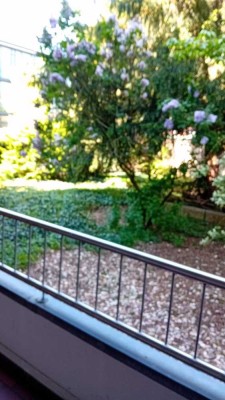 Helle geräumige Einzimmerwohnung mit Balkon