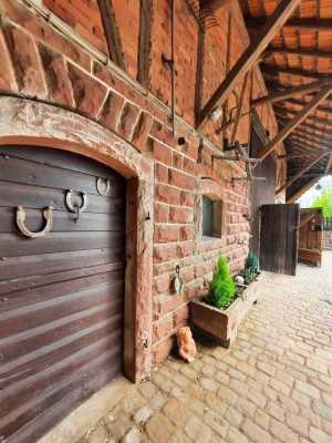 Renoviertes Haus mit ELW, Hofreite, großem Grundstück und Nebengebäuden