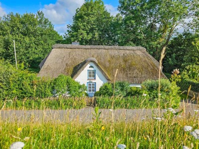 Ein Ruhepol im Grünen Historische Fischerkate am Eiderdeich