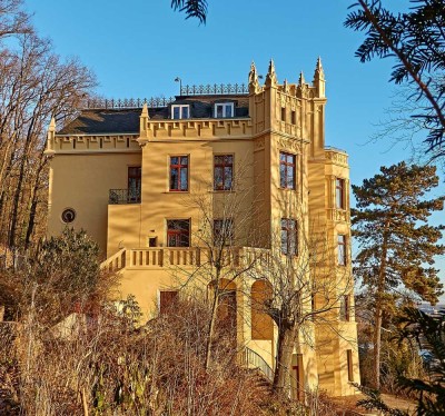 Prächtige Beletage in außergewöhnlicher sanierter Villa am Stadtwald mit Blick über die Stadt Gera