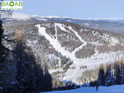 Exklusive Neubauapartments in den Nockbergen – Panoramablick, Freizeitwohnsitz, Ski-In/Ski-Out