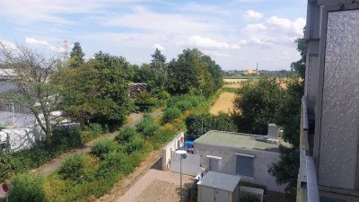 HATTERSHEIM: Sehr gepflegte, gut geschnittene 2-Zi.-Wohnung mit Balkon und EBK