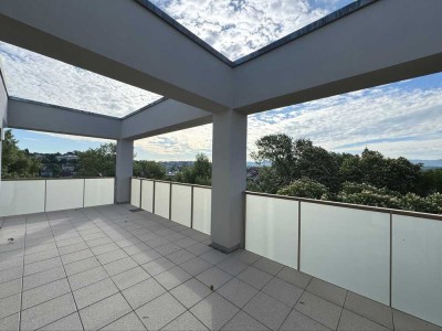 Über den Bäumen mit Panormablick