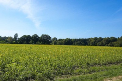 Neubau eines anspruchsvollen  2-Familienhauses in Toplage von Tangstedt/Krs. Stormarn SH