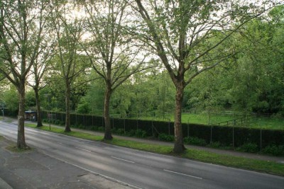 3-Zimmerwohnung in zentraler Lage ***provisionsfrei vom Eigentümer***