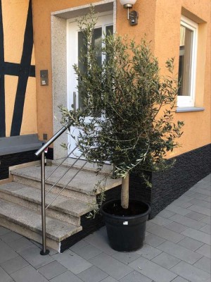 Schönes geräumiges Fachwerkhaus mit Balkon im Wetteraukreis, Nidda