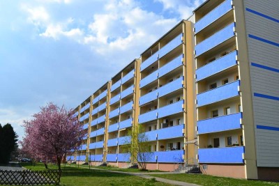 Top sanierte 3-Raum-Wohnung in Pirna-Copitz