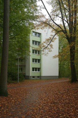 Wohnen im Grünen: Modernisierte 3-Zimmer-Wohnungen in der Karlsruher Waldstadt (mind. 2 Personen)