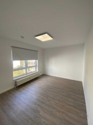 renovierte / Stilvolle 1-Zimmer-Wohnung mit EBK + TG Stellplatz in Kaiserslautern