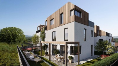 DEIN WEINGARTEN - Grünblick in den Weinbergen