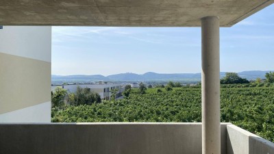 Neubau Erstbezug Ruhige Drei Zimmer Wohnung mit Eigengarten und fabelhafter Aussicht