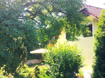 Jetzt Traumhaus sichern! OPEN HOUSE am 30.08!