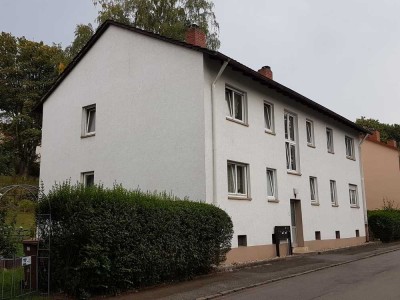 Renovierte helle Wohnung mit vielen Zimmern, Balkon und Gartennutzung
