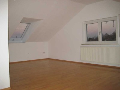 Ruhige, helle 2-Zi-DG-Wohnung, Ulm-Söflingen ab 01.01.26