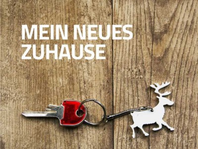 Neues Zuhause gesucht?