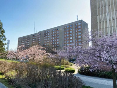3-Raum-Wohnung im 8. Obergeschoss - Duschbad- Weitblick über Neu Zippendorf