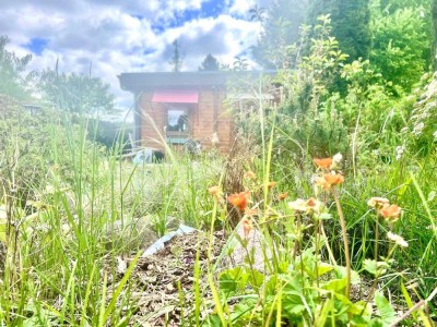Ferienidylle am Wasser: Gepflegtes Ferienhaus mit Aubaupotenzial