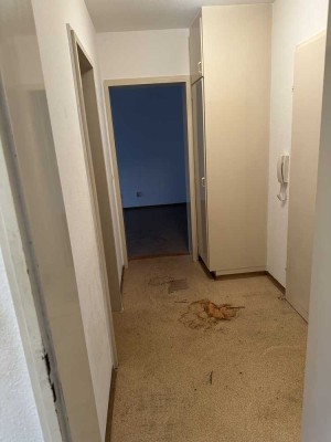 2-Zi.-ETW - Freiburg-Weingarten - leer