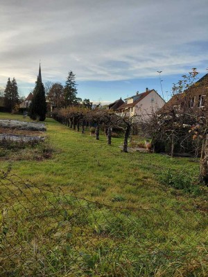 3 Zimmer-Wohnung mit Balkon am Landschaftsschutzgebiet: Stuttgart-Stammheim nähe Porsche, 30-Zone