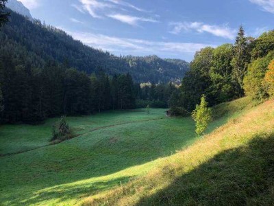 Rarität: Niederalm mit Hütte in Alleinlage mit Wald
