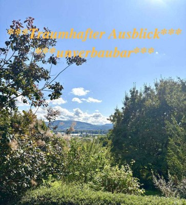 **EFH mit gr. teilbarem Grundstück in Bestlage Talstr. Grenzach unverbaubarer Blick in die Schweiz**