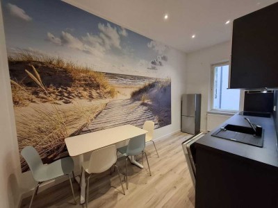 Löffelfertiges möbliertes 2-Zi.-Apartments zentrumsnah am Fürther Stadtpark