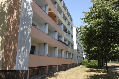 Singlewohnung mit Wohlfühlgarantie