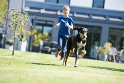 Bien-Zenker: Ihr Traumhaus in Oschersleben (Bode) wartet auf Sie!