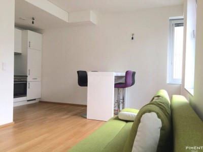 2-ZIMMER APARTMENT NÄHE DONAUINSEL