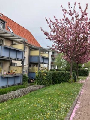 2 ZKB im Erdgeschoss mit Balkon!