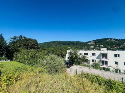 ++ Ruhig leben, grün genießen ++ CHARMANTE Zwei-Zimmer-Gartenwohnung