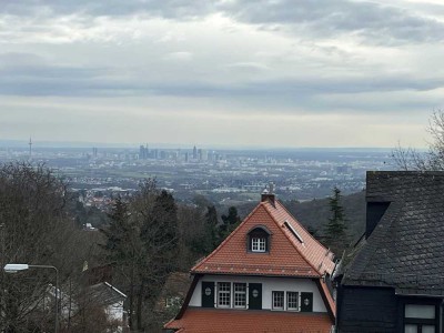 Attraktive Zweizimmerwohnung mit Frankfurter Skylineblick