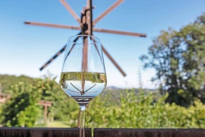 Wohnträume zwischen Wein, Lavendel und Weitblick - Top3