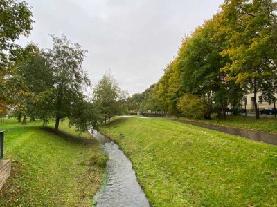 1-Zimmer-Wohnung - leerstehend !