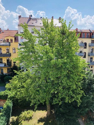 Zentrale 3-Raumwohnung mit Dachterrasse, großer Küche, Bad mit Wanne & Dusche ab Februar 2025 frei!