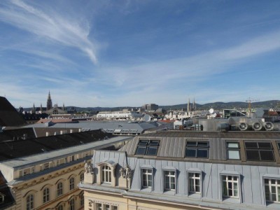 Garconnière mit Traumblick im Hochhaus/City/U3