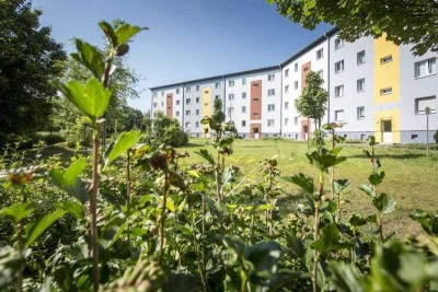 ruhig und im Grünen - wohnen in Neu Olvenstedt