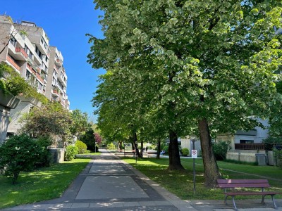 Frühling in Graz St. Peter! Modern sanierte 3-Zimmer Wohnung mit Loggia im beliebten Grazer Wohnbezirk St. Peter zu verkaufen!