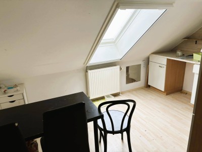 Dachgeschosswohnung mit Blick an die Donau