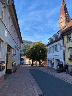 Renovierte 2-Zimmer-EG-Wohnung in Neckargemünd Altstadt