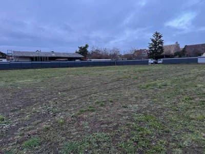 Ruhige barrierefreie 5-Zimmer Dachgeschosswohnung in Neustadt Mußbach mit Blick zum Haardtgebirge