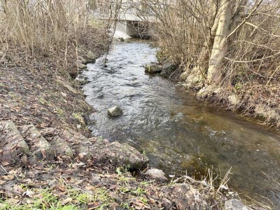 Charmante Kapitalanlage: Maisonette-Wohnung mit Balkon und Einbauküche in Bad Waldsee