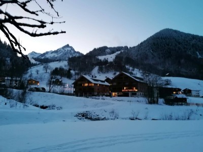Feriendomizil im schönen Brandnertal (Brand)