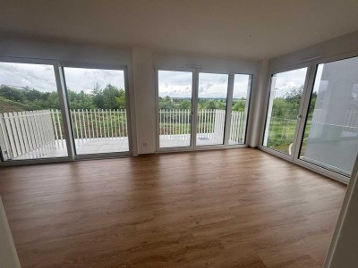 Geschmackvolle 2-Raum-Wohnung mit gehobener Innenausstattung mit EBK in Langenau