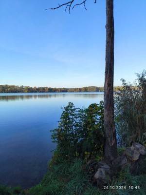 Haus im Wald am See auf Eigentum!