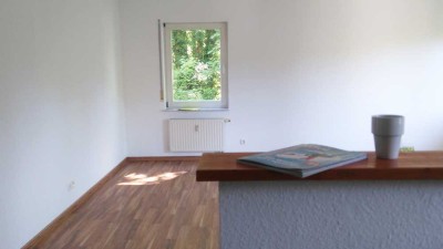 Moderne Wohnung im Grünen !   2 1/2 Zimmer mit Südbalkon und EBK in Steinheim an der Murr