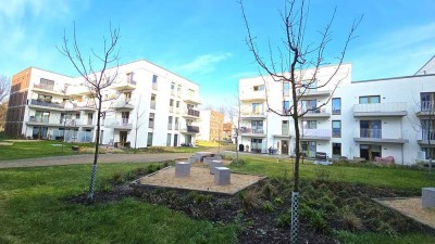 Sowas haben Sie noch nicht gesehen:  Wohnbüro für Freiberufler & Gewerbetreibende - 3 Zimmer - 1 Ter