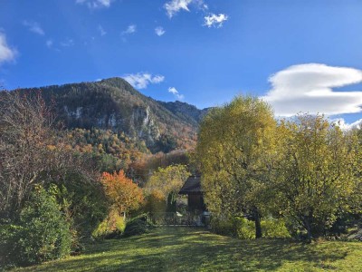 1 Zimmer Wohnung im Erdgeschoss mit Terrasse
